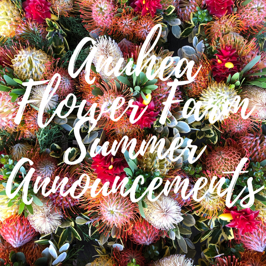 Summer (Off-Season) Ordering Tips