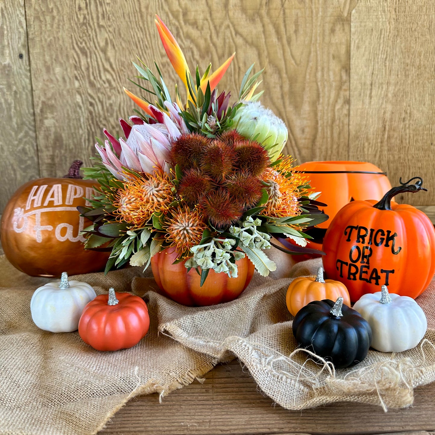 Li'l Pumpkin Arrangement