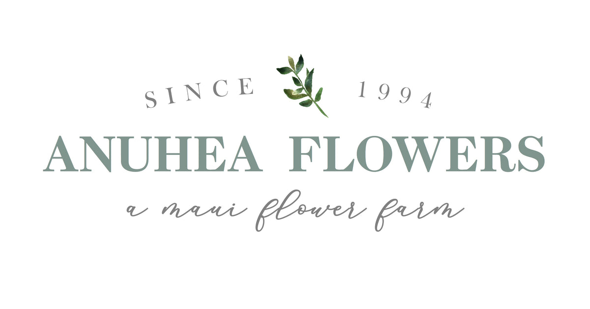 Anuhea Flowers photo 1 in Makawao