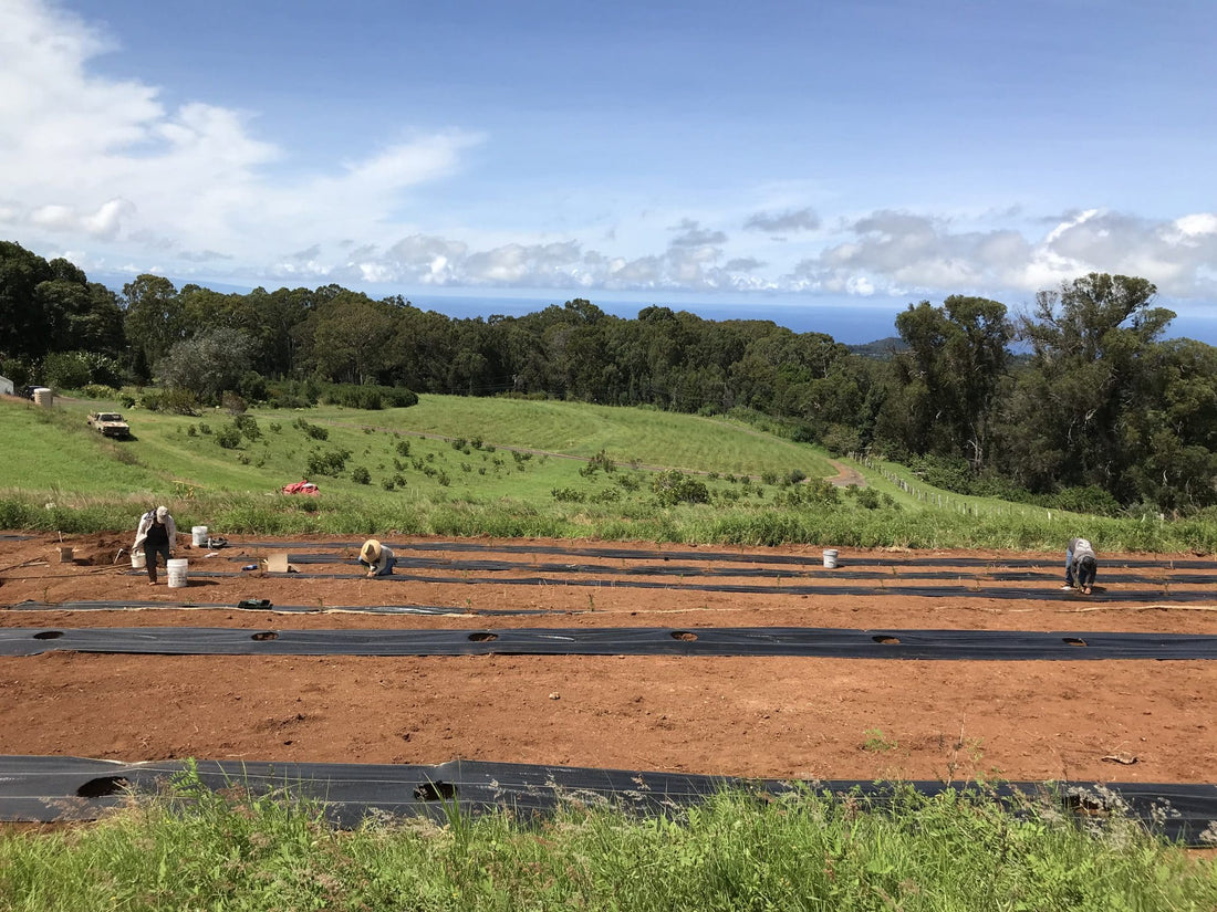 Fresh, Exciting Changes Coming…