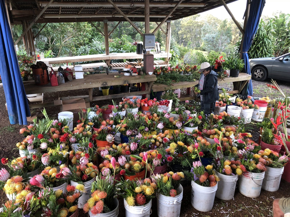 Building From a Legacy