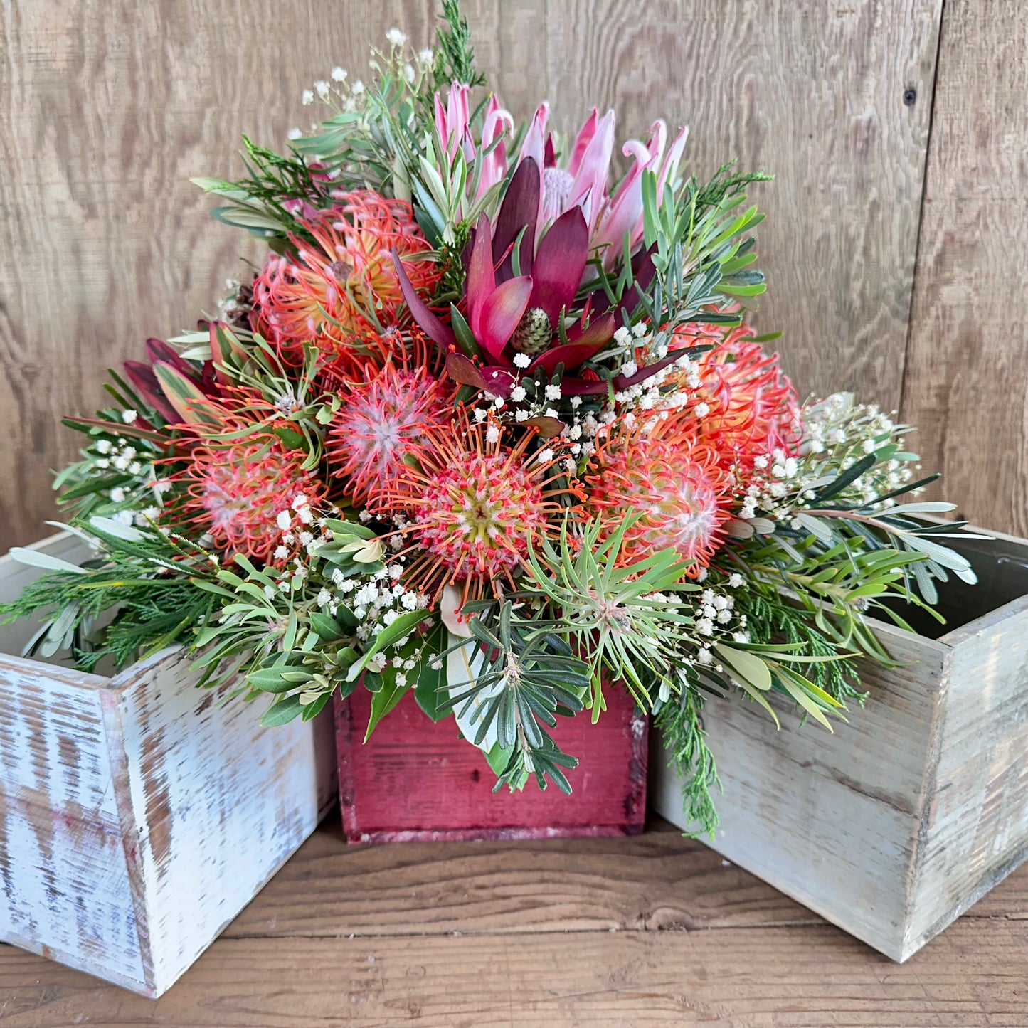 Olinda Magic Arrangement