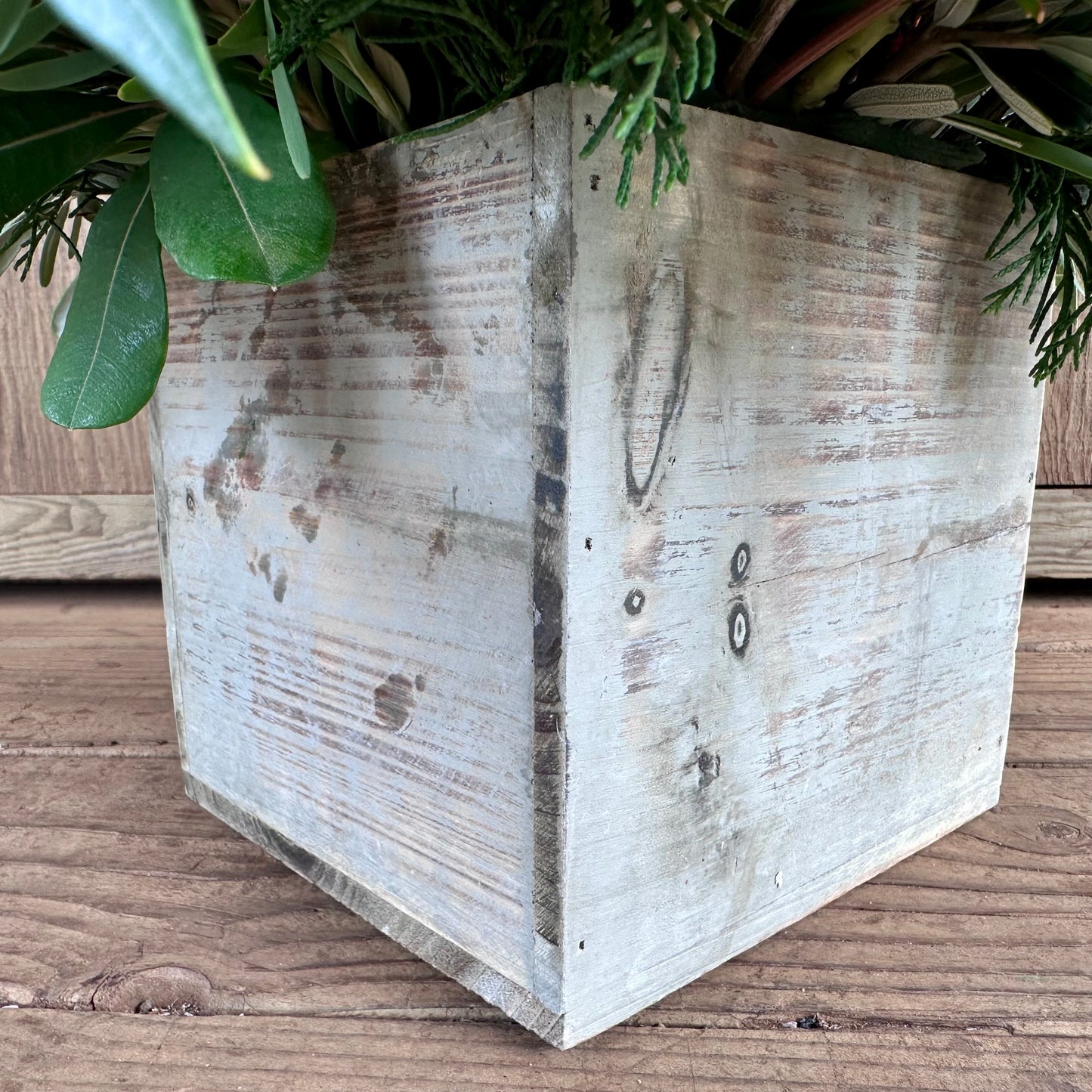 Olinda Magic Arrangement