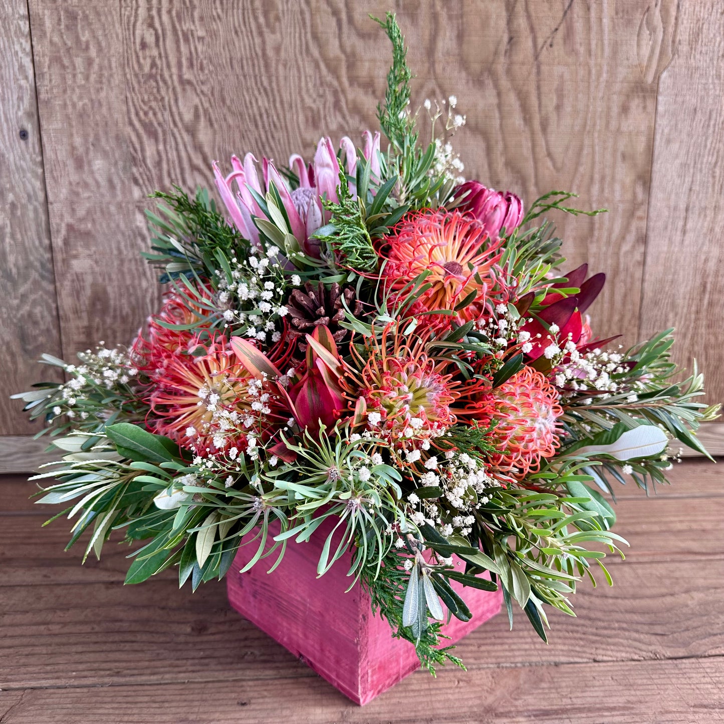 Olinda Magic Arrangement