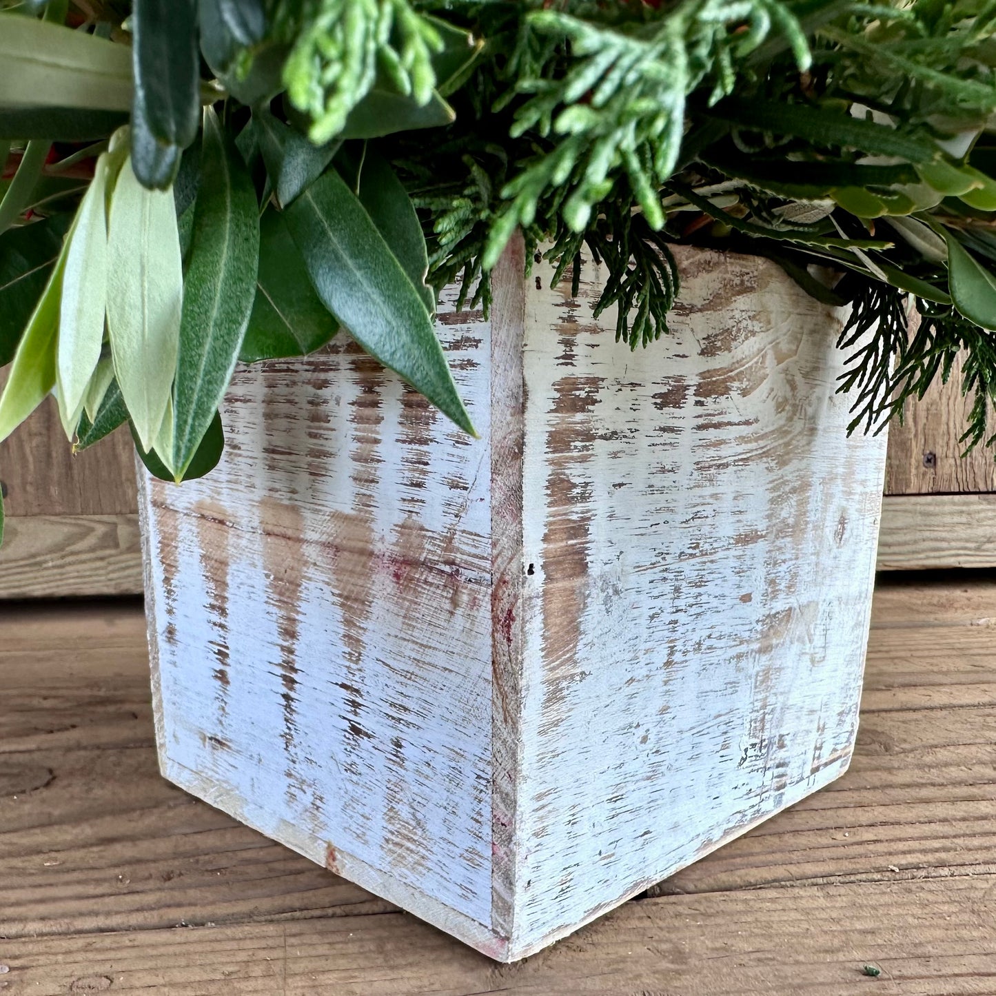 Olinda Magic Arrangement