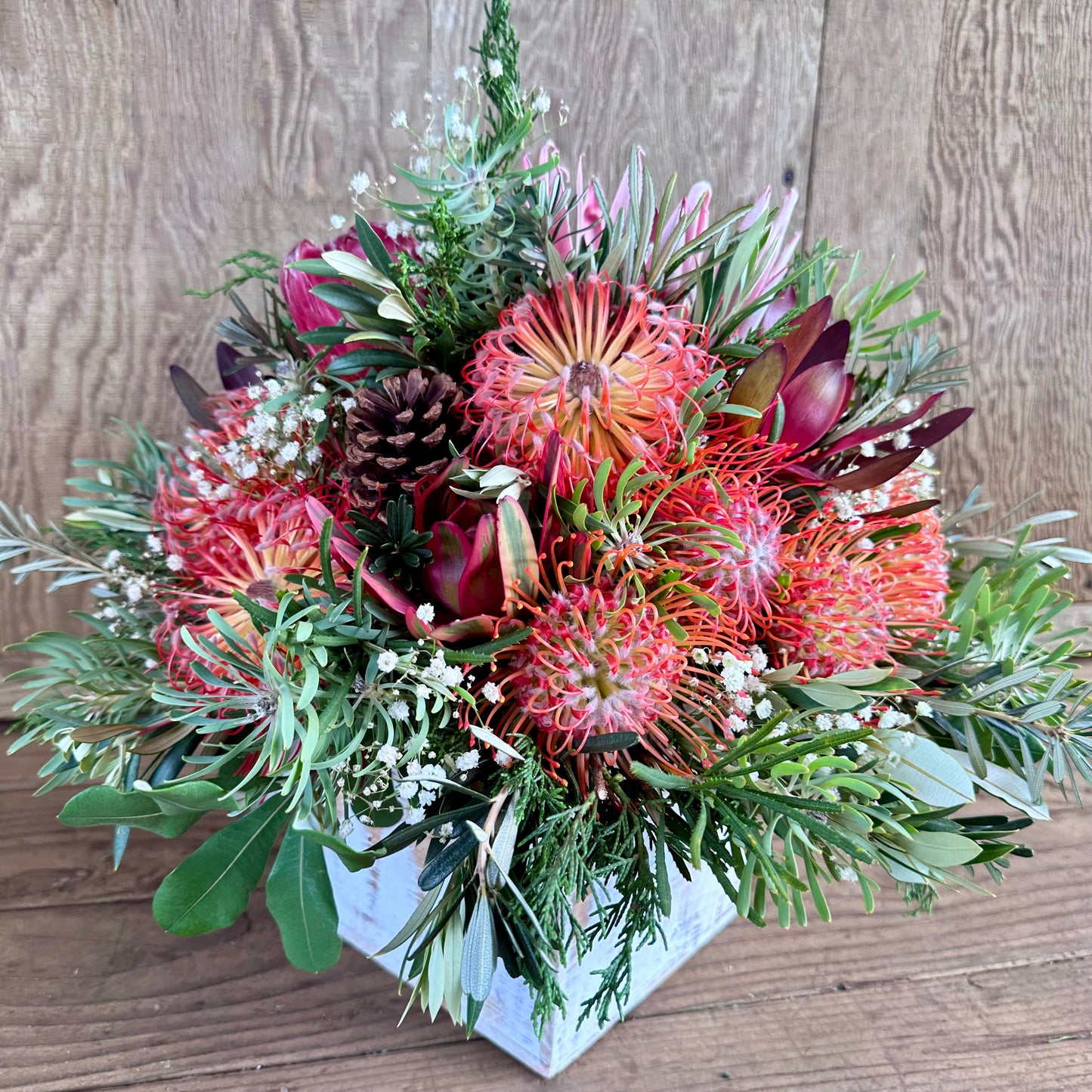 Olinda Magic Arrangement