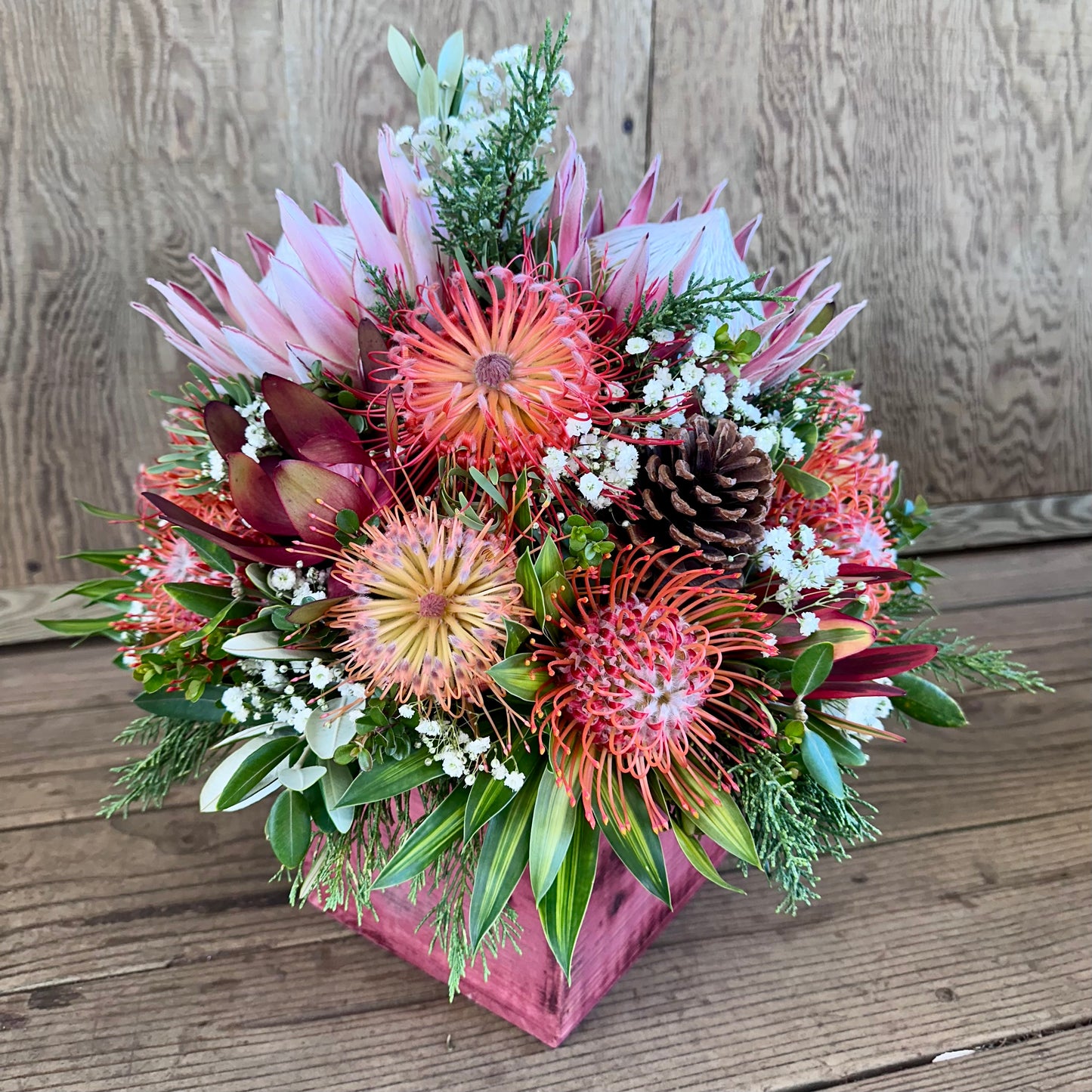 Olinda Magic Arrangement