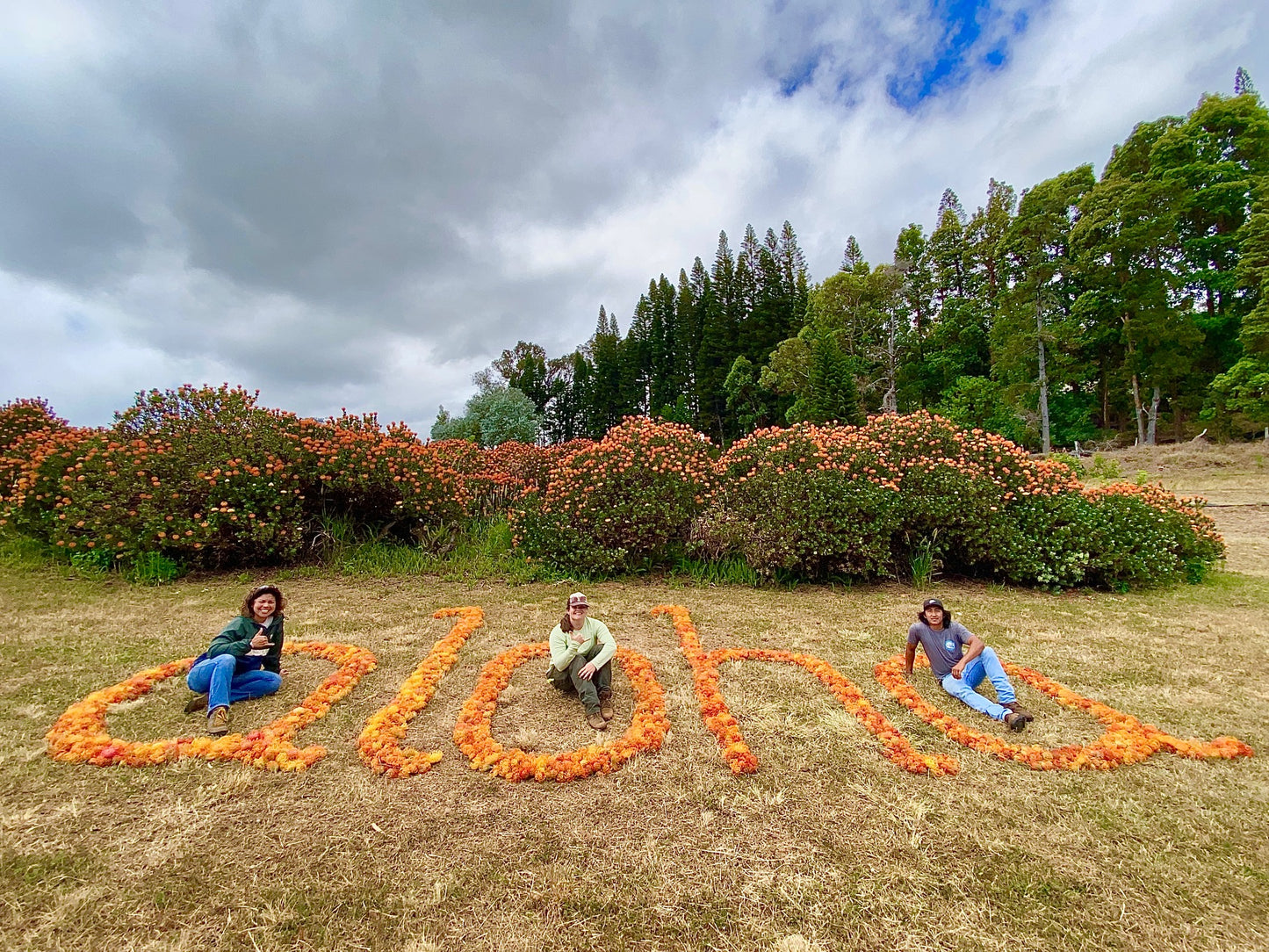 Anuhea Flowers Guided Farm Tour