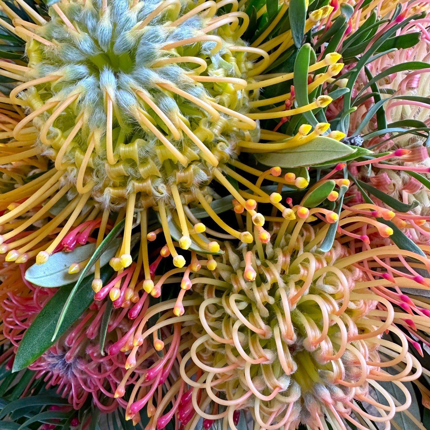 Anuhea Easter Basket Arrangement