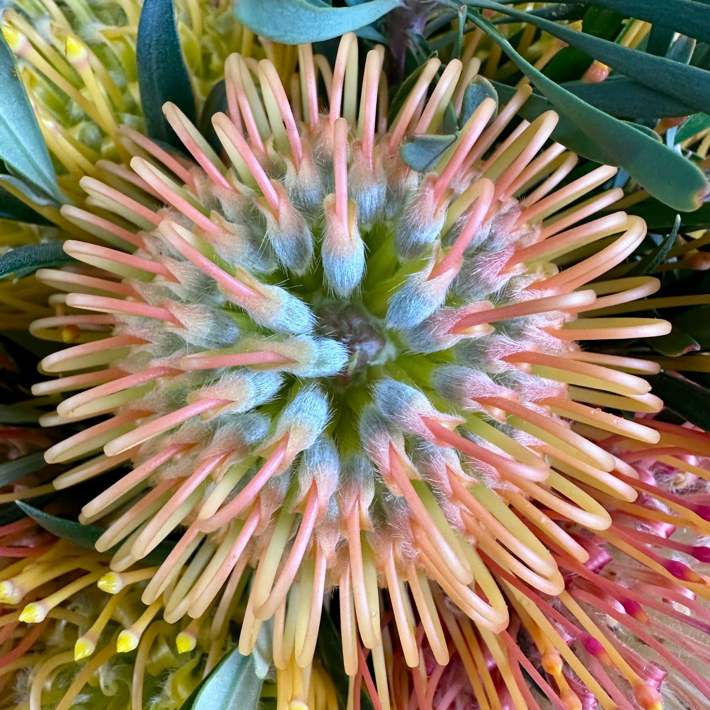 Anuhea Easter Basket Arrangement