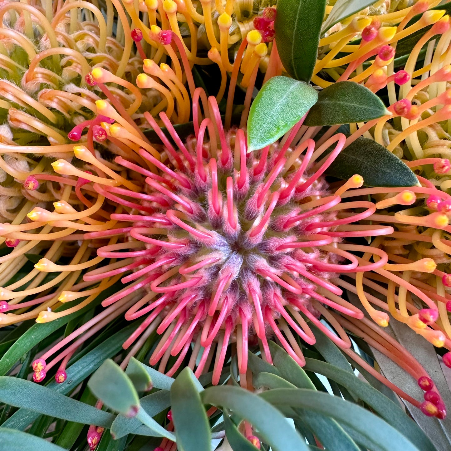 Anuhea Easter Basket Arrangement