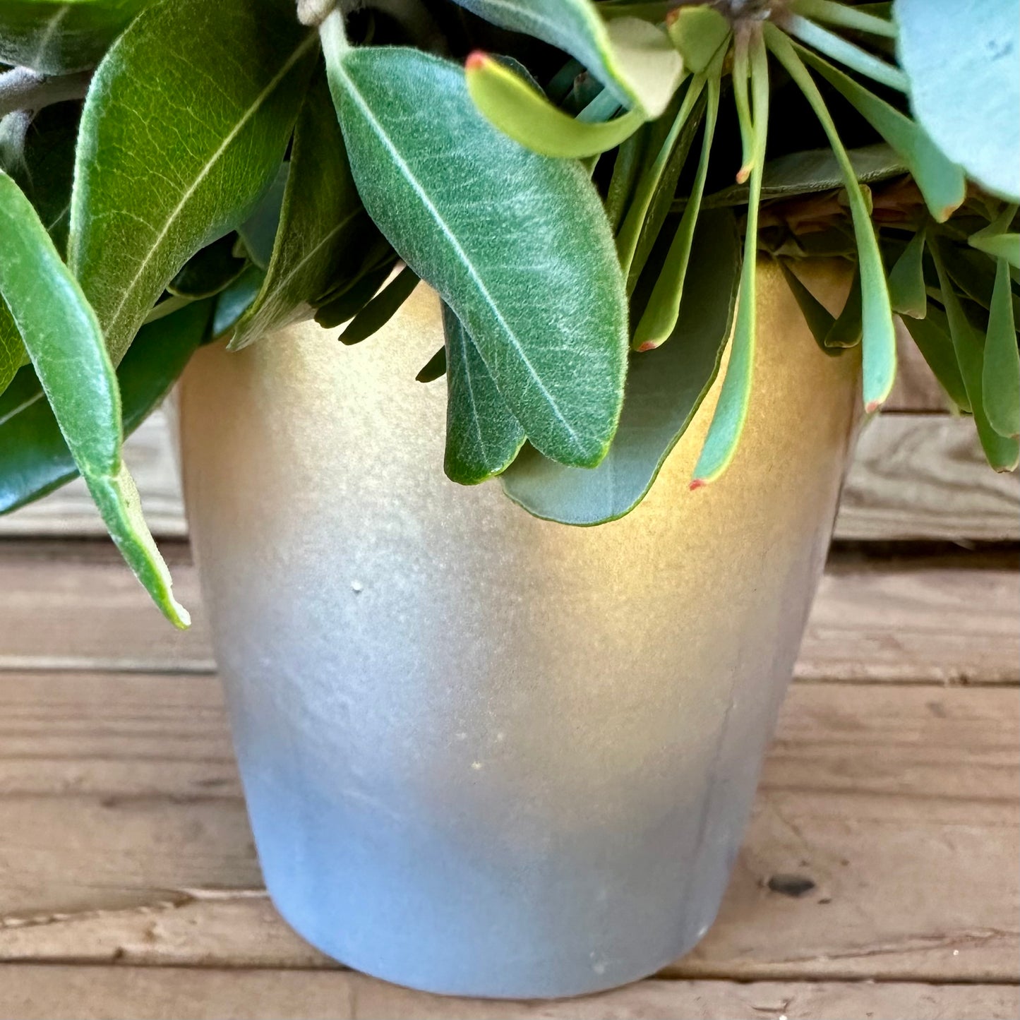 Maui Gem Arrangement