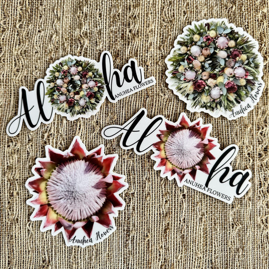 “Protea” 4-Pack of Anuhea Flowers Stickers